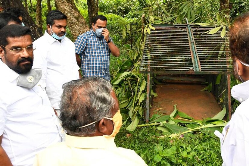  കോന്നി തണ്ണിത്തോട്ടില്‍ ടാപ്പിംഗ് തൊഴിലാളിയായ ബിനീഷ് മാത്യുവിനെ കൊലപ്പെടുത്തിയ കടുവയെ പിടിക്കാന്‍ ഒരുക്കിയ കൂട് വനം വകുപ്പ് മന്ത്രി കെ. രാജുവും എംഎല്‍എമാരായ രാജു ഏബ്രഹാം, കെ.യു. ജനീഷ് കുമാര്‍ എന്നിവര്‍ സന്ദര്‍ശിക്കുന്നു.