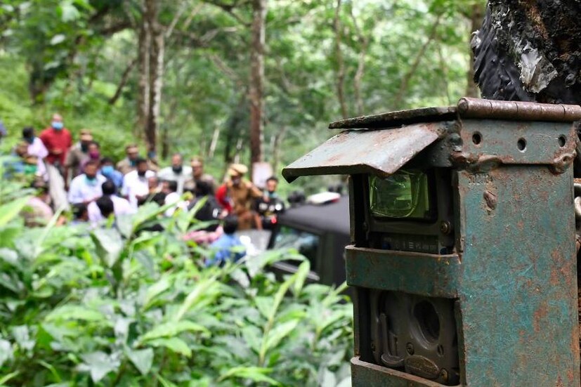  കോന്നി തണ്ണിത്തോട്ടില്‍ ടാപ്പിംഗ് തൊഴിലാളിയായ ബിനീഷ് മാത്യുവിനെ ആക്രമിച്ചു കൊലപ്പെടുത്തിയ കടുവയുടെ സാന്നിധ്യം തിരിച്ചറിയുന്നതിനായി സ്ഥാപിച്ച കാമറ.