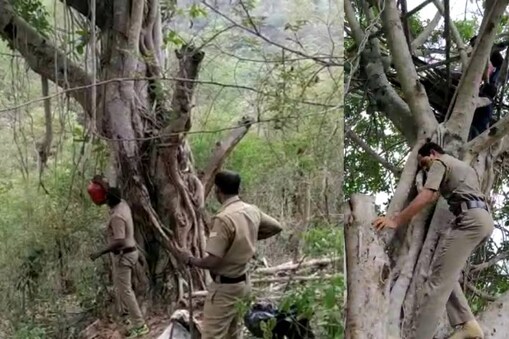 റെയ്ഡ് നടത്തിയ എക്സൈസുകാർ മരത്തിന് മുകളിൽ കെട്ടിയ ഏറുമാടത്തിൽ ചാരായവും വാഷും കണ്ടെത്തി