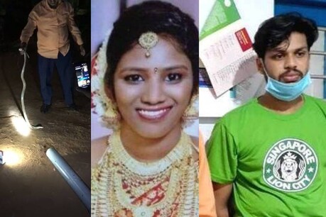 ഉത്ര വധം: കൊലപ്പെടുത്താൻ ഉപയോഗിച്ച മൂർഖൻ പാമ്പ് ജീവനോടെ ഉണ്ടായിരുന്നപ്പോഴുള്ള ദൃശ്യങ്ങൾ ഉത്ര വധം: കൊലപ്പെടുത്താൻ ഉപയോഗിച്ച മൂർഖൻ പാമ്പ് ജീവനോടെ ഉണ്ടായിരുന്നപ്പോഴുള്ള ദൃശ്യങ്ങൾ