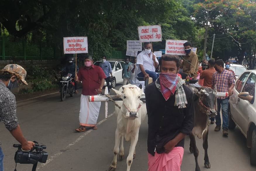 ഇന്ധനവില കുതിച്ചുയരുന്ന സാഹചര്യത്തിൽ ബസ് ചാർജ് വർധിപ്പിക്കണമെന്ന ആവശ്യവുമായി കാളവണ്ടി സമരം നടത്തി ബസ്സുടമകൾ. ഇന്ധനവില കുതിച്ചുയരുന്ന സാഹചര്യത്തിൽ ബസ് ചാർജ് വർധിപ്പിക്കണമെന്ന ആവശ്യവുമായി കാളവണ്ടി സമരം നടത്തി ബസ്സുടമകൾ.