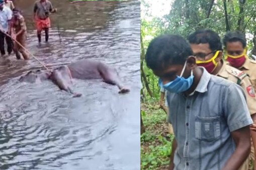 അറസ്റ്റിലായ വിൽസൻ