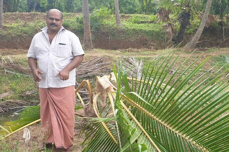 നെഞ്ചൊന്ന് പിടയും, ഈ കാഴ്ച കണ്ടാൽ; എക്സൈസ് ഓഫീസറുടെ കൃഷി സ്ഥലത്തെ 230 തെങ്ങിൻ തൈകൾ നശിപ്പിച്ചു നെഞ്ചൊന്ന് പിടയും, ഈ കാഴ്ച കണ്ടാൽ; എക്സൈസ് ഓഫീസറുടെ കൃഷി സ്ഥലത്തെ 230 തെങ്ങിൻ തൈകൾ നശിപ്പിച്ചു