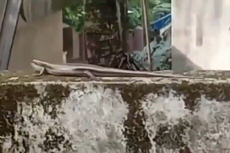 Viral video| സംഭവ ബഹുലമായ ഒരു ഡോക്യുമെന്ററി ചിത്രീകരണത്തിനിടെ സംഭവിച്ചത്! Viral video| സംഭവ ബഹുലമായ ഒരു ഡോക്യുമെന്ററി ചിത്രീകരണത്തിനിടെ സംഭവിച്ചത്!