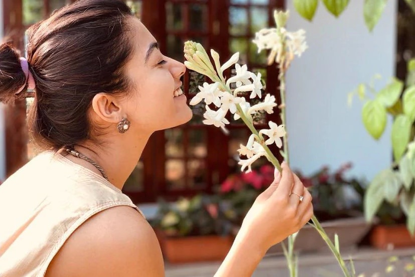  രശ്മിക മന്ദാന