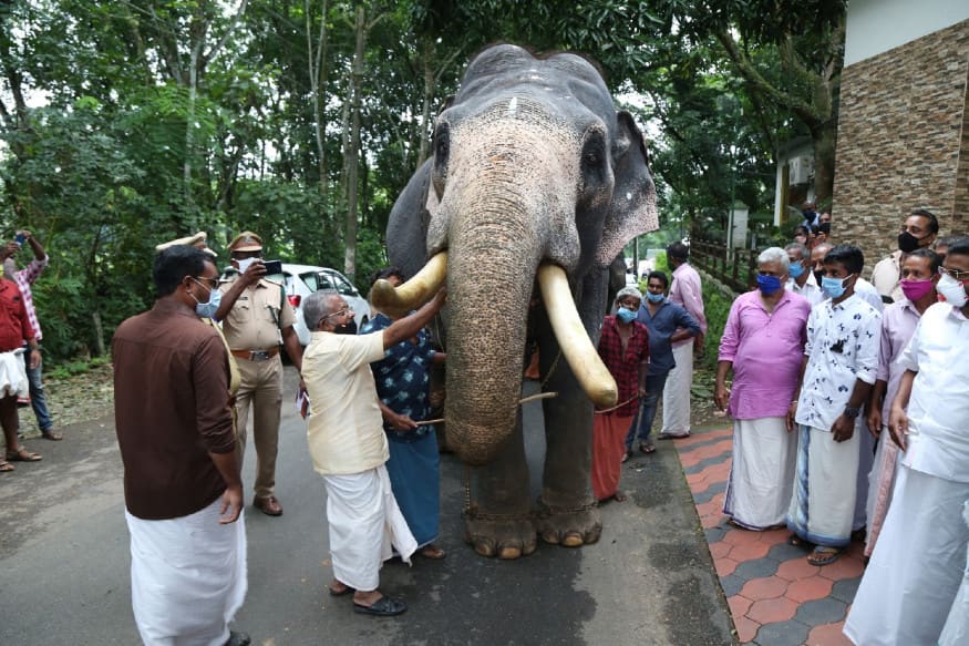 ലോക്ക്ഡൗണ് കാലഘട്ടത്തില് നാട്ടാനകള്ക്കായുള്ള ഭക്ഷണ വിതരണത്തിന്റെ ജില്ലാതല ഉദ്ഘാടനം ഇരവിപേരൂര് ഗ്രാമപഞ്ചായത്തില് നിര്വഹിക്കുകയായിരുന്നു മന്ത്രി കെ.രാജു. ഇരവിപേരൂര് പഞ്ചായത്തിലെ പുത്തന്കാവുമല നാരായണന്കുട്ടി, ഓതറദേശം ശ്രീശങ്കരി, ശ്രീപാര്വതി എന്നീ ആനകള്ക്കാണ് മന്ത്രി ഖരഭക്ഷണം വിതരണം ചെയ്തത്. ലോക്ക്ഡൗണ് കാലഘട്ടത്തില് നാട്ടാനകള്ക്കായുള്ള ഭക്ഷണ വിതരണത്തിന്റെ ജില്ലാതല ഉദ്ഘാടനം ഇരവിപേരൂര് ഗ്രാമപഞ്ചായത്തില് നിര്വഹിക്കുകയായിരുന്നു മന്ത്രി കെ.രാജു. ഇരവിപേരൂര് പഞ്ചായത്തിലെ പുത്തന്കാവുമല നാരായണന്കുട്ടി, ഓതറദേശം ശ്രീശങ്കരി, ശ്രീപാര്വതി എന്നീ ആനകള്ക്കാണ് മന്ത്രി ഖരഭക്ഷണം വിതരണം ചെയ്തത്.