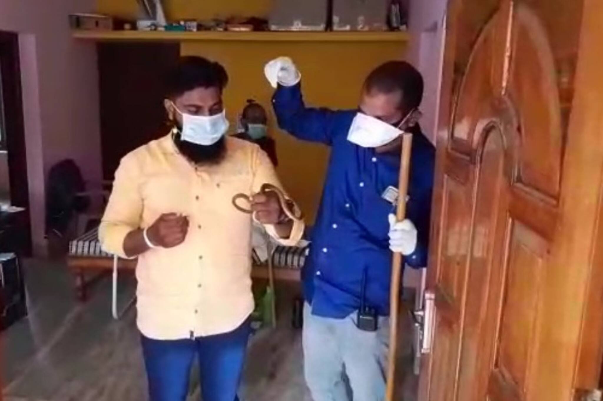 ചേരയ്ക്കെന്ത്  ക്വറന്റീൻ? ക്വറന്റീനിൽ കഴിയുന്ന വീട്ടിൽ പാമ്പ് കേറിയാലും പണി  ഹെൽത്തിന്