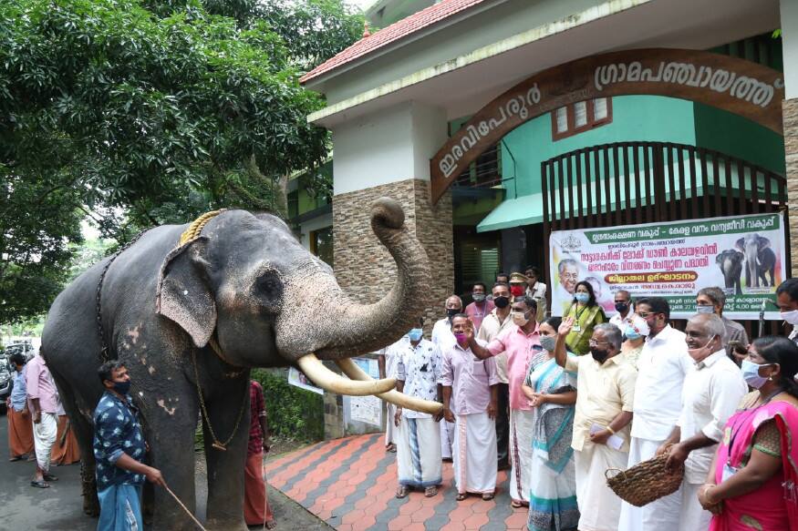 ജില്ലയില് നാല് ആനകളെയാണ് രജിസ്റ്റര് ചെയ്തിട്ടുള്ളത്. 40 ദിവത്തേക്ക് 120 കിലോ അരി, 120 കിലോ ഗോതമ്പ്, 120 കിലോ റാഗി, 20 കിലോ മുതിര, 16 കിലോ ചെറുപയര്, 400 ഗ്രാം മഞ്ഞള്പൊടി, നാലു കിലോ ശര്ക്കര, രണ്ടേകാല് കിലോ ഉപ്പ് എന്നീ എട്ട് വിഭവങ്ങള് അടങ്ങിയ കിറ്റാണ് വിതരണം ചെയ്തത്. സംസ്ഥാന സര്ക്കാരിന്റെ പദ്ധതിയ്ക്കു പുറമെ ഇരവിപേരൂര് ഗ്രാമപഞ്ചായത്തിന്റെ വാര്ഷിക പദ്ധതിയുടെ ഭാഗമായി ആനകളുടെ സുഖചികിത്സക്കായി ലേഹ്യം നിര്മിക്കുന്നതിനുള്ള കിറ്റിന്റെ വിതരണം വീണാ ജോര്ജ് എംഎല്എ നിര്വഹിച്ചു. ജില്ലയില് നാല് ആനകളെയാണ് രജിസ്റ്റര് ചെയ്തിട്ടുള്ളത്. 40 ദിവത്തേക്ക് 120 കിലോ അരി, 120 കിലോ ഗോതമ്പ്, 120 കിലോ റാഗി, 20 കിലോ മുതിര, 16 കിലോ ചെറുപയര്, 400 ഗ്രാം മഞ്ഞള്പൊടി, നാലു കിലോ ശര്ക്കര, രണ്ടേകാല് കിലോ ഉപ്പ് എന്നീ എട്ട് വിഭവങ്ങള് അടങ്ങിയ കിറ്റാണ് വിതരണം ചെയ്തത്. സംസ്ഥാന സര്ക്കാരിന്റെ പദ്ധതിയ്ക്കു പുറമെ ഇരവിപേരൂര് ഗ്രാമപഞ്ചായത്തിന്റെ വാര്ഷിക പദ്ധതിയുടെ ഭാഗമായി ആനകളുടെ സുഖചികിത്സക്കായി ലേഹ്യം നിര്മിക്കുന്നതിനുള്ള കിറ്റിന്റെ വിതരണം വീണാ ജോര്ജ് എംഎല്എ നിര്വഹിച്ചു.