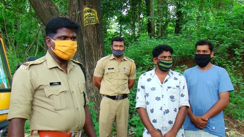  ഇന്ന് തീറ്റപ്പുല്ല് കൊണ്ടുവന്ന ലോറിയിൽ പുല്ലുകെട്ടിനുള്ളിൽ കഞ്ചാവ് ഒളിപ്പിച്ച നിലയിലാണ് കണ്ടെത്തിയത്.