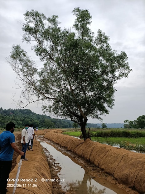  വേങ്ങര പഞ്ചായത്തും ബ്ലോക് പഞ്ചായത്തും സംയുക്തമായി പ്രധാനമന്ത്രി കൃഷി സഞ്ചയി യോജന -  മഹാത്മാഗാന്ധി ഗ്രാമീണ തൊഴിലുറപ്പ് പദ്ധതി എന്നിവയിൽ ഉൾപ്പെടുത്തിയാണ് പദ്ധതി നടപ്പാക്കുന്നത്.