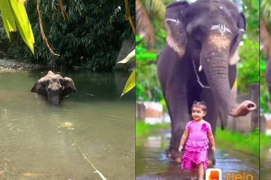 News18 Malayalam