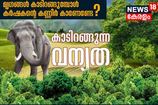 കാടിറങ്ങുന്ന വന്യത