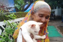 സഹജീവി സ്നേഹത്തിന്‍റെ ഉദാത്ത മാതൃക; ആലപ്പുഴയുടെ 'പൂച്ച ഉമ്മ'യെ പരിചയപ്പെടാം