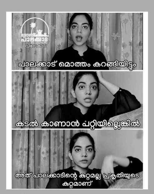  (ട്രോൾ കടപ്പാട്: ട്രോൾ പാലക്കാട്)
