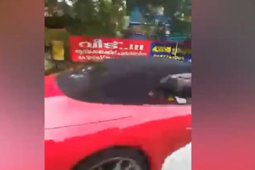  പാലാ റോഡ‍ിലെ കൊട്ടാരമുറ്റം, കുമ്മന്നൂർ എന്നീ സ്ഥലങ്ങളിലെ സ്വകാര്യ വ്യക്തികളുടെ സിസി ടിവി കാമറകളാണ് മോട്ടോർ വാഹന വകുപ്പിലെ എൻഫോഴ്സ്മെന്റ് വിഭാഗം പരിശോധിച്ചത്. 