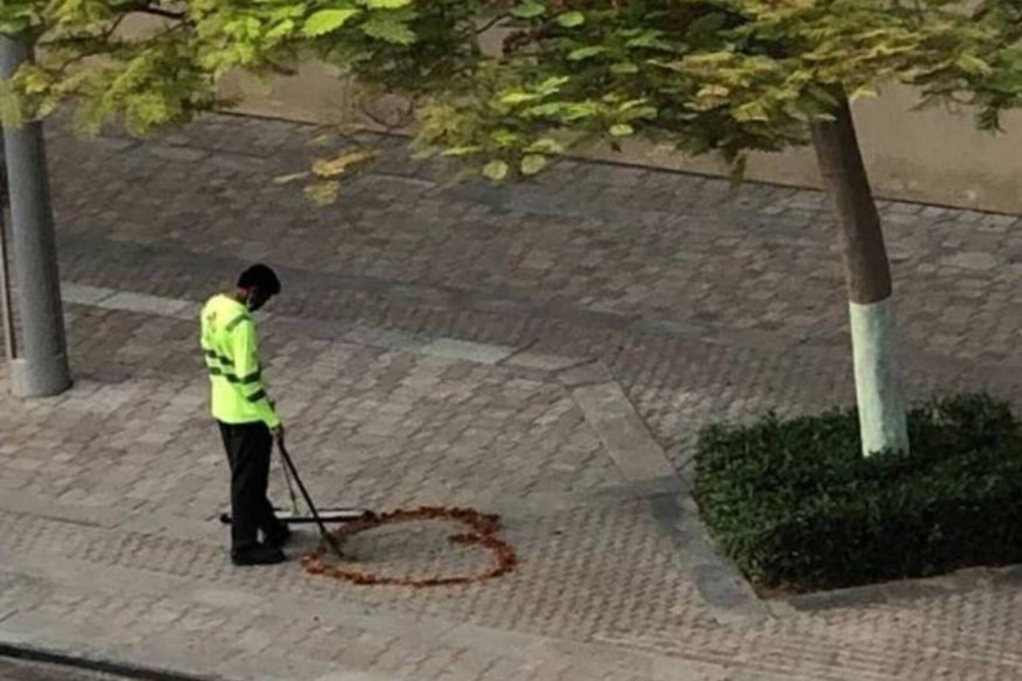 ജോലിക്കിടെ വഴിയരികിലെ കരിയിലകള്‍ കൂട്ടി ഹൃദയം വരച്ചു; വൈറലായി ഇന്ത്യക്കാരൻ