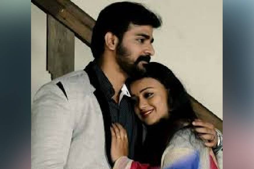  2015ൽ ആരംഭിച്ച 'പ്രണയം' എന്ന സീരിയലാണ് ശ്രീനിഷിനെ മലയാളി പ്രേക്ഷകർക്ക് സുപരിചിതനാക്കിയത്. ഇതിൽ ശരൺ ജി. മേനോൻ എന്ന സി.ഇ.ഒ.യുടെ വേഷമായിരുന്നു ശ്രീനിഷ് കൈകാര്യം ചെയ്തിരുന്നത്