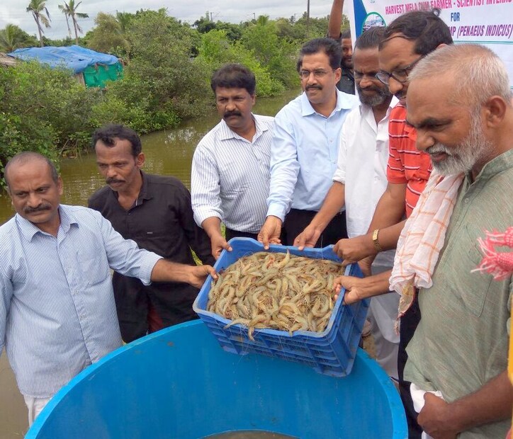  സീറോ വാട്ടര്‍ എക്സ്ചേഞ്ച് അക്വകള്‍ച്ചര്‍ സംവിധാനം, മള്‍ട്ടിട്രോപിക് സംയോജിത കൃഷി രീതി തുടങ്ങിയ അത്യാധുനിക രീതികള്‍ പുരുഷോത്തമന്‍ വിജയകരമായി നടപ്പിലാക്കി. സ്വയം പരീക്ഷിച്ച് സാമ്പത്തികമായി വിജയിച്ച കൃഷി രീതി, പുതിയ മത്സ്യ കര്‍ഷക സംരഭകര്‍ക്ക് പകര്‍ന്നു നല്‍കുന്നതില്‍ വ്യാപൃതനാണ് ഈ ജലകര്‍ഷകന്‍.