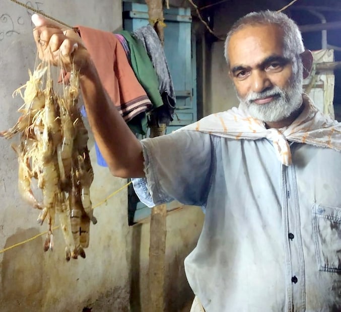  കേരളത്തില്‍ മത്സ്യോല്‍പാദനത്തിന് അനന്തസാധ്യതകളുള്ള ഓരുജലാശയങ്ങളെ ശാസ്ത്രീയമായി ഉപയോഗപ്പെടുത്തി ചെമ്മീന്‍-മത്സ്യകൃഷി വിജയകരമാക്കുന്നതിന് സിബയുടെ സാങ്കേതികവിദ്യകളും അദ്ദേഹത്തിന് സഹായകരമായി.