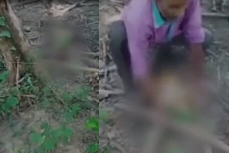 വടികൊണ്ട് കുത്തി; ദേഹത്തേക്ക് പെയിന്റൊഴിച്ചു; കുരങ്ങിന് നേരെ കൊടുംക്രൂരത വടികൊണ്ട് കുത്തി; ദേഹത്തേക്ക് പെയിന്റൊഴിച്ചു; കുരങ്ങിന് നേരെ കൊടുംക്രൂരത