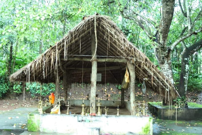  വാത്മീകി ആശ്രമം ആശ്രമം - വാത്മീകി ലവകുശൻമാർക്ക് വിദ്യ പറഞ്ഞു കൊടുത്ത വാത്മീകാ ആശ്രമം മുള്ളൻ കൊല്ലിക്കടുത്താണ്. രാമായണ കഥാ ചരിത്രം ആഖ്യാനിക്കപ്പെട്ടത് വയനാട്ടിലാണെന്ന നാടോടി വാമൊഴി ചരിത്രങ്ങളെ സാധൂകരിക്കുന്ന നിരവധി ഇടങ്ങളാണ് വയനാടൻ പ്രദേശങ്ങളിൽ വ്യാപിച്ചു കിടക്കുന്നത്.