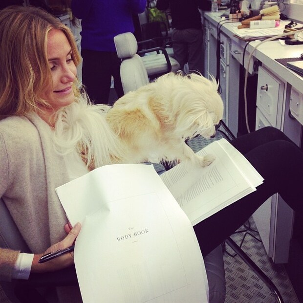  മൈ സിസ്റ്റേർസ് കീപ്പർ (2009), നൈറ്റ് ആൻറ് ഡേ (2010), ദ ഗ്രീൻ ഹോർനറ്റ് (2011), ബാഡ് ടീച്ചർ (2011), വാട്ട് ടു എക്സ്പെക്റ്റ് വെൻ യു ആർ എക്സ്പെക്റ്റിംഗ്" (2012), "ദ കൌൺസെലർ"(2013), "ദ അദർ വുമൺ, സെക്സ് ടേപ്പ്," "ആനീ" തുടങ്ങിയവയാണ് കാമറോൺ അഭിനയിച്ച പ്രധാന ചിത്രങ്ങൾ. (Image:Cameron Diaz/Instagram)