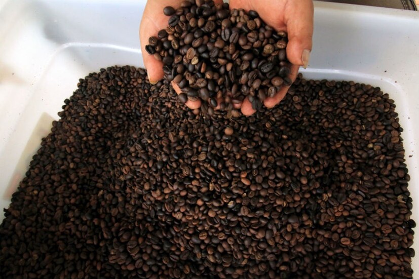  കാരണം കഫീൻ നിങ്ങളുടെ ഉറക്കത്തെ തടസ്സപ്പെടുത്തും. കാഫീൻ ഉറക്കത്തെ സ്വാധീനിക്കുന്നത് എങ്ങനെയെന്ന് നമുക്ക് സ്വയം പരീക്ഷിച്ച് നോക്കാവുന്നതാണ്.