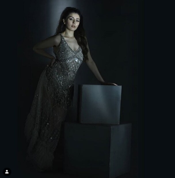 Hansika Motwani shared her stills from latest photo shoot 