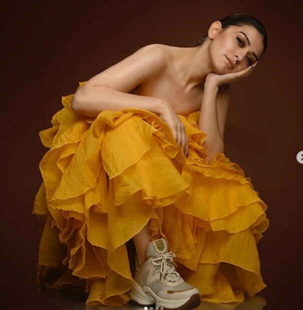 Hansika Motwani shared her stills from latest photo shoot 
