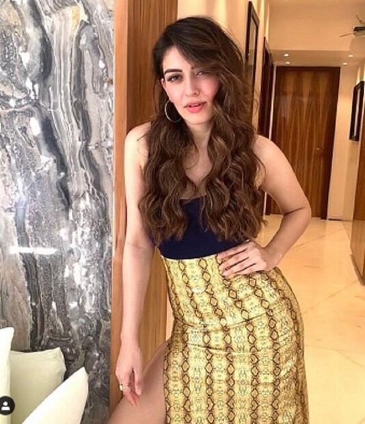 Hansika Motwani shared her stills from latest photo shoot 