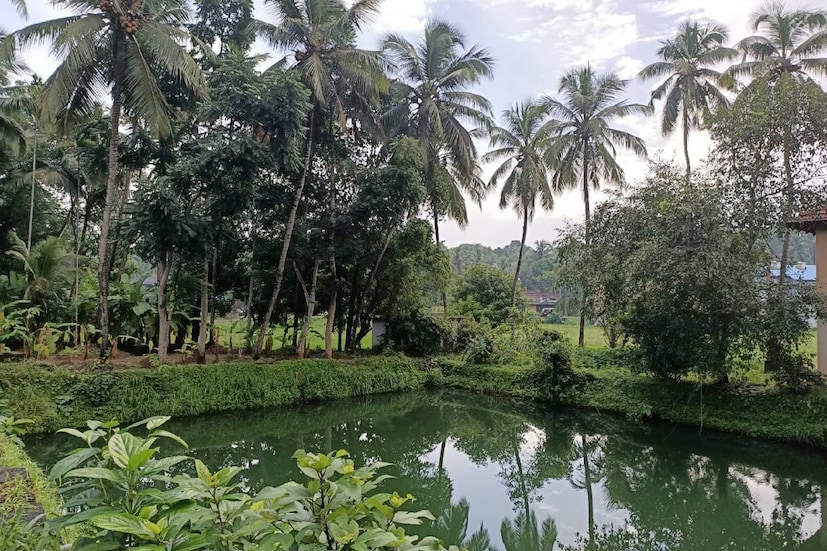  ഇരിഞ്ഞാലക്കുട നിന്നും വന്ന ബ്രാഹ്മണരുടെ ആരാധനാ ദേവത തൃപ്രയാറപ്പനാണ്