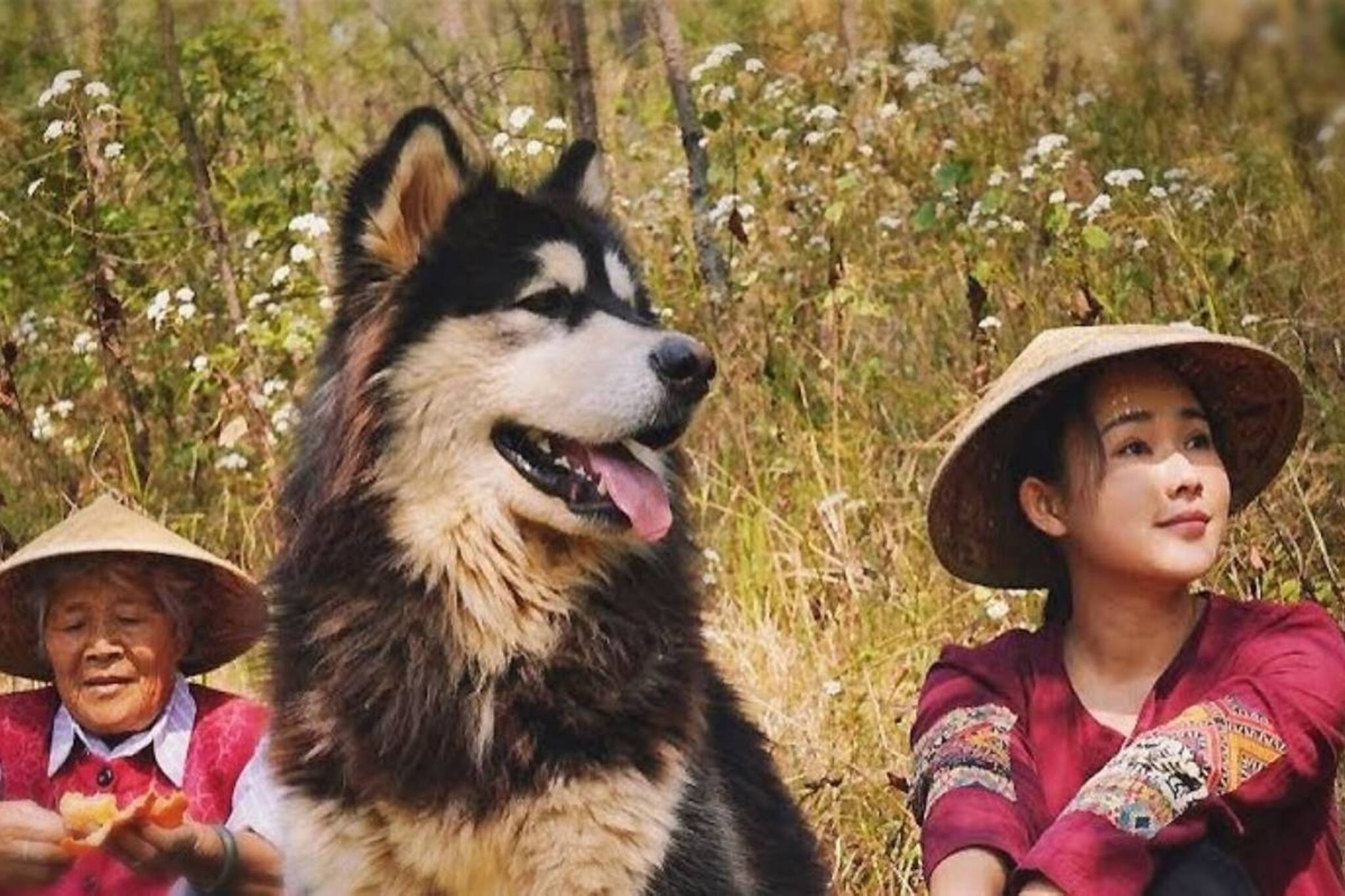 YouTube Stars| അതിർത്തി തർക്കമില്ലാത്ത രുചിവൈവിധ്യം; മലയാളികൾക്കും പരിചിതയായ ചൈനക്കാരി