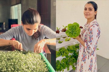 ലോക്ക്ഡൗണിൽ സാമന്ത തിരക്കിലാണ്; പോസിറ്റീവായിരിക്കാൻ സാമന്തയെ കണ്ടുപഠിക്കാം ലോക്ക്ഡൗണിൽ സാമന്ത തിരക്കിലാണ്; പോസിറ്റീവായിരിക്കാൻ സാമന്തയെ കണ്ടുപഠിക്കാം