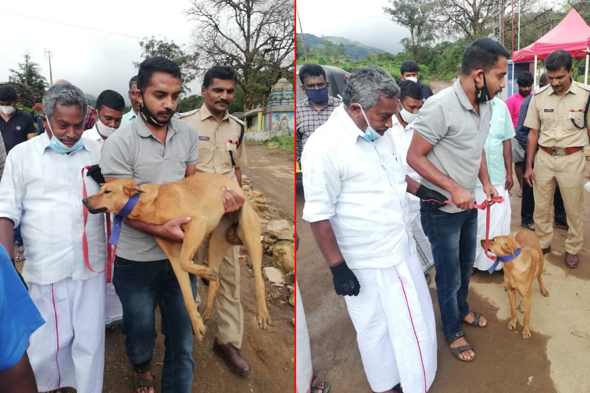 കുവിയെ ഏറ്റെടുത്ത് പൊലീസ്