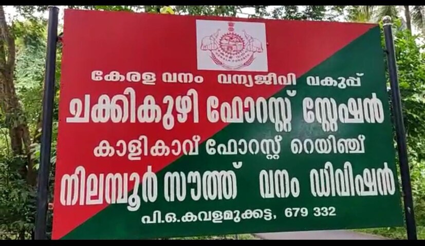  തോക്ക് നാണിപ്പ എന്ന അബുവിന്റെയാണ്. ഇയാൾ തന്നെയാണ് വെടിവച്ചതെന്ന് വനം വകുപ്പ് പറയുന്നു.  വെറ്ററിനറി സര്‍ജന്‍ ഡോ.കെ.എന്‍.നൗഷാദലി ജഡം പരിശോധന നടത്തി. കാളികാവ് റേഞ്ച് ഓഫിസര്‍ പി.സുരേഷിന്റെ നേതൃത്വത്തിൽ ചക്കികുഴി ഡെപ്യൂട്ടി റേഞ്ച് ഓഫിസര്‍ കെ.സക്കീര്‍ ഹുസൈനും സംഘവും ആണ് പ്രതികളെ പിടികൂടിയത്.