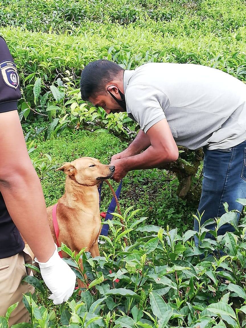 കുവിയെ ഏറ്റെടുത്ത് പൊലീസ്