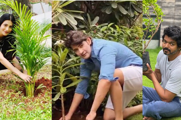 shruti-haasan-accepted-green-india-challenge-given-by-mahesh-babu ...
