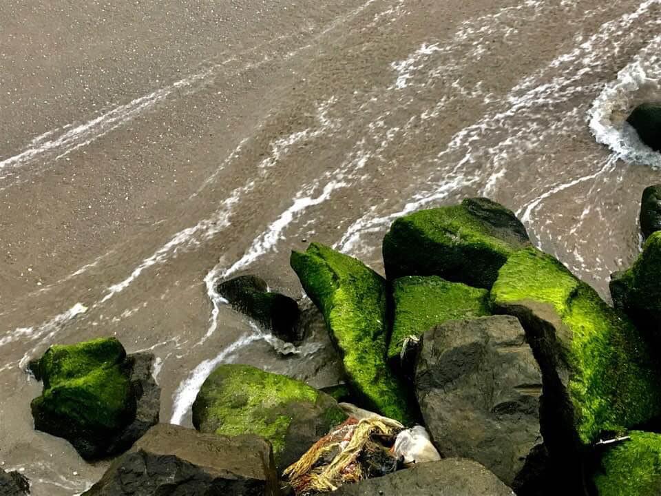 ഫോട്ടോ- ഫാ. ജിജോ കുര്യൻ