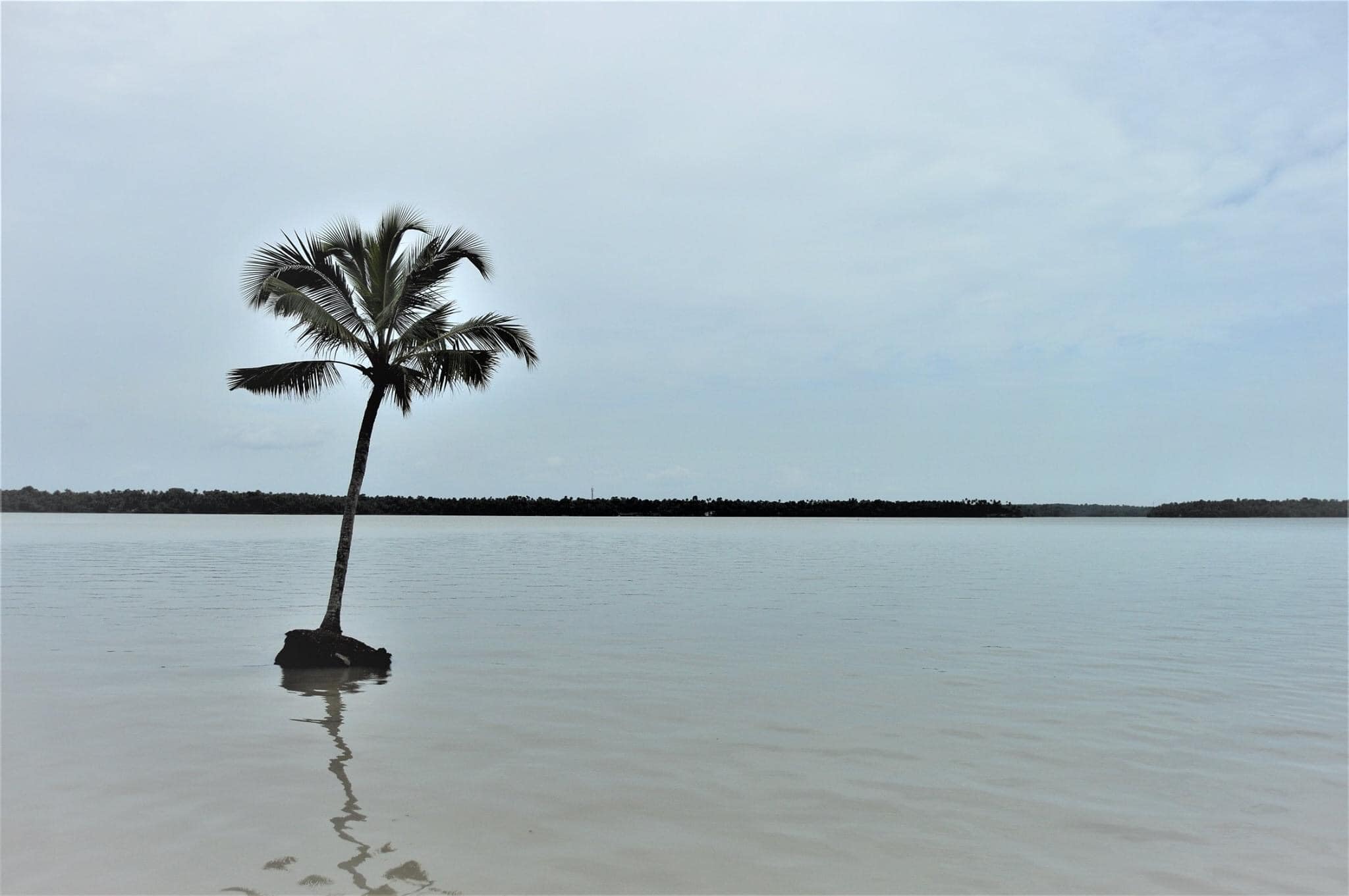 ഫോട്ടോ- ഫാ. ജിജോ കുര്യൻ