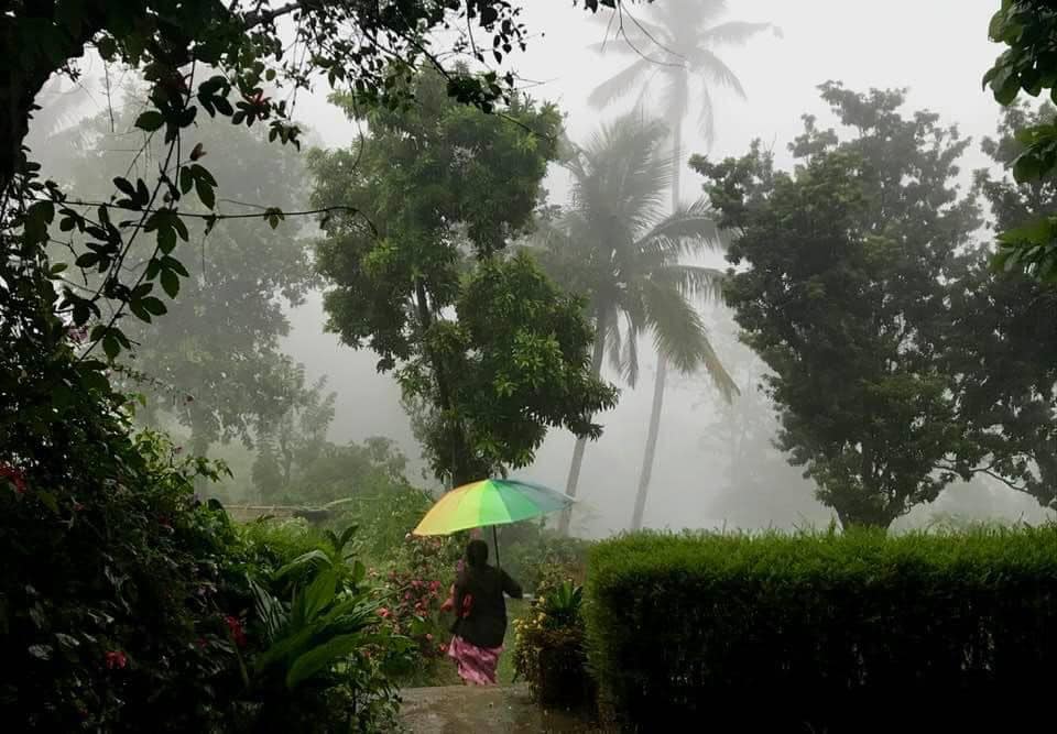 ഫോട്ടോ- ഫാ. ജിജോ കുര്യൻ