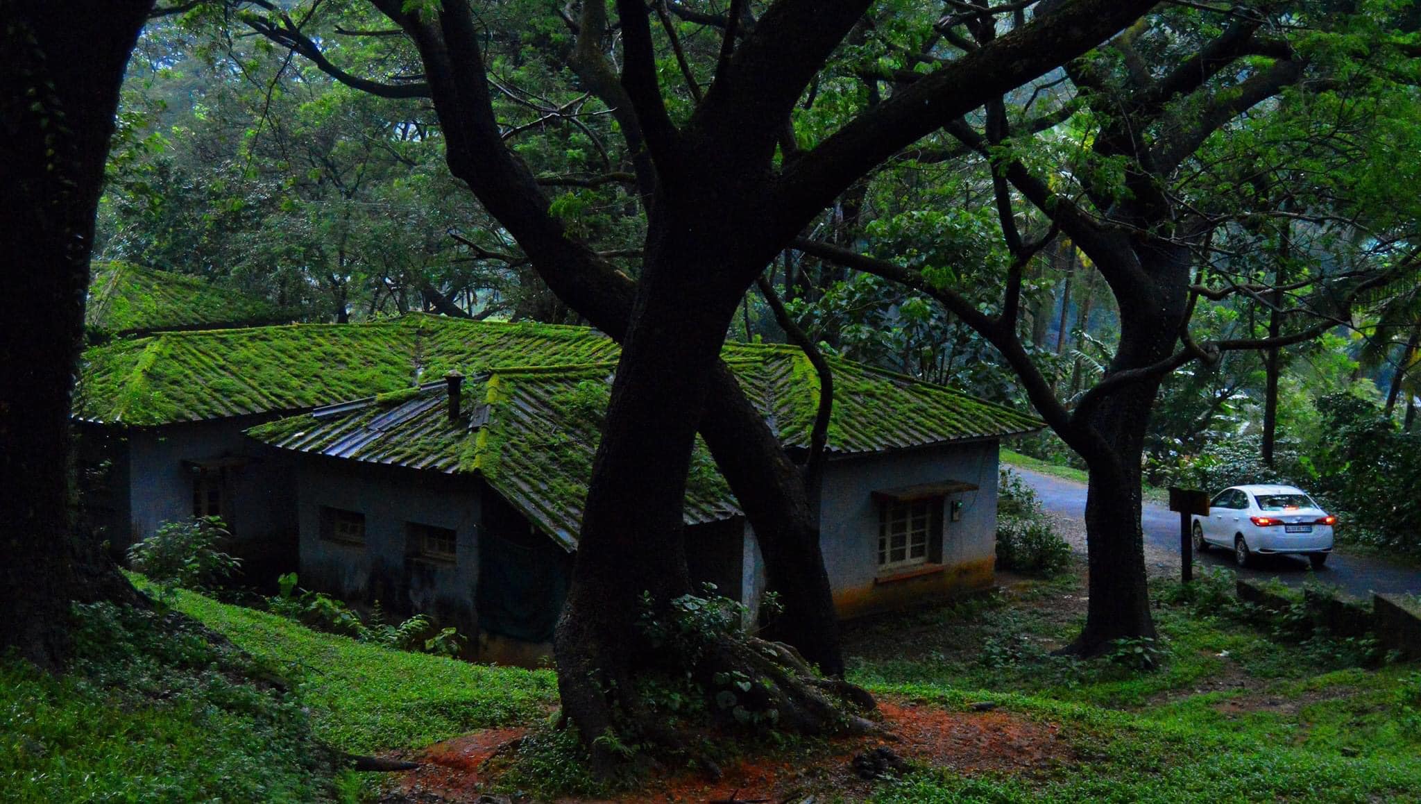 ഫോട്ടോ- ഫാ. ജിജോ കുര്യൻ