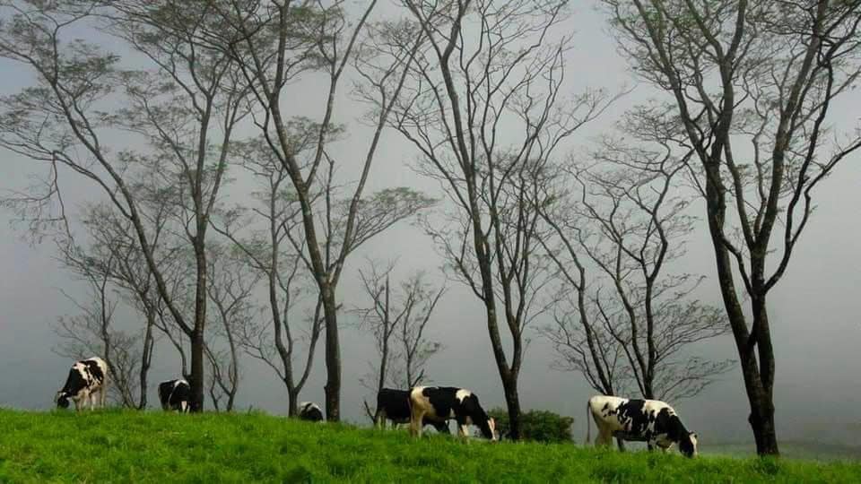 ഫോട്ടോ- ഫാ. ജിജോ കുര്യൻ