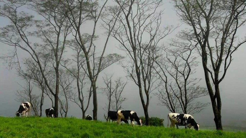  ഫോട്ടോ- ഫാ. ജിജോ കുര്യൻ
