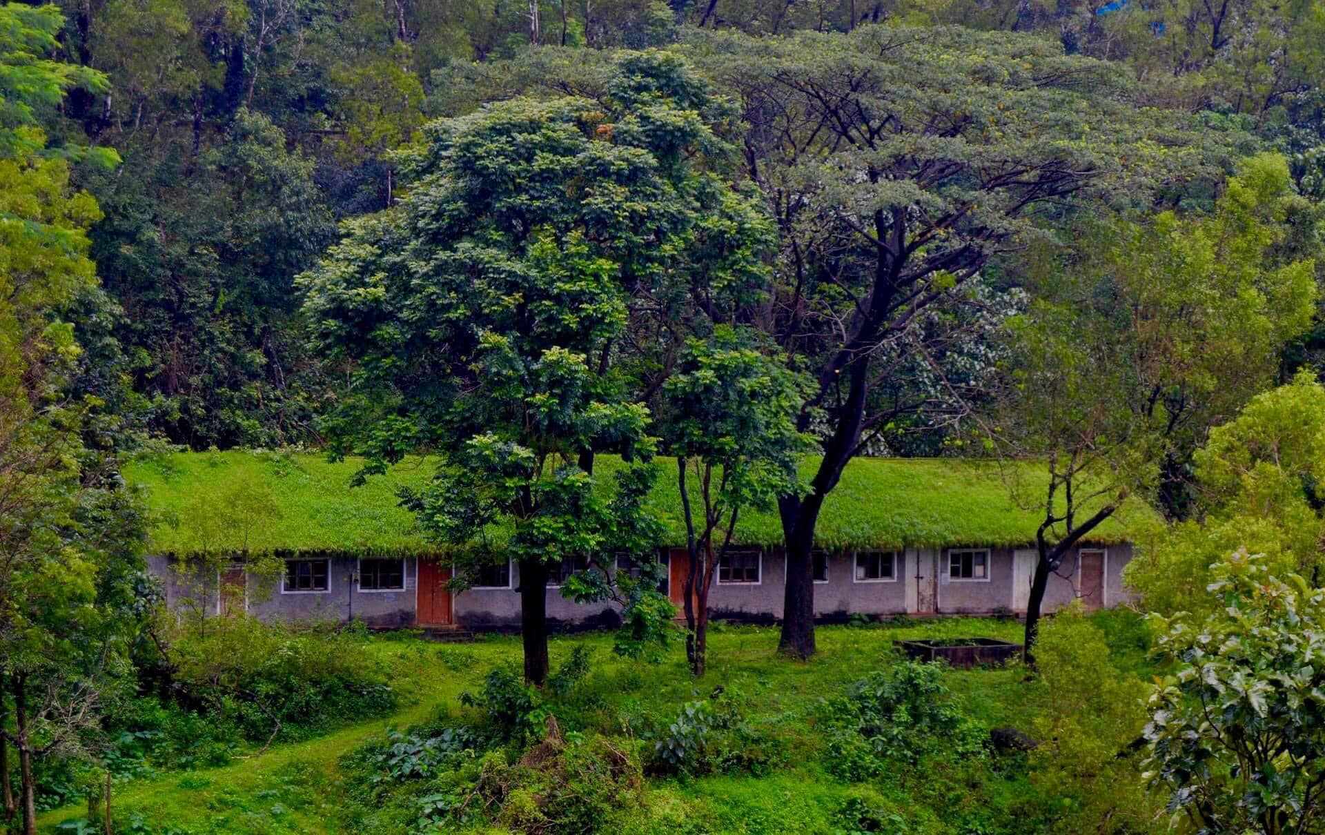 ഫോട്ടോ- ഫാ. ജിജോ കുര്യൻ