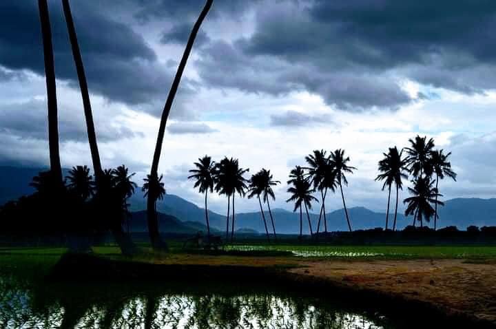 ഫോട്ടോ- ഫാ. ജിജോ കുര്യൻ