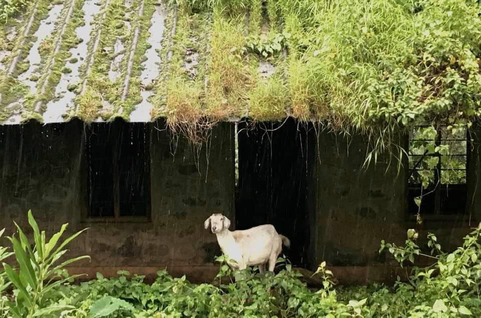 ഫോട്ടോ- ഫാ. ജിജോ കുര്യൻ