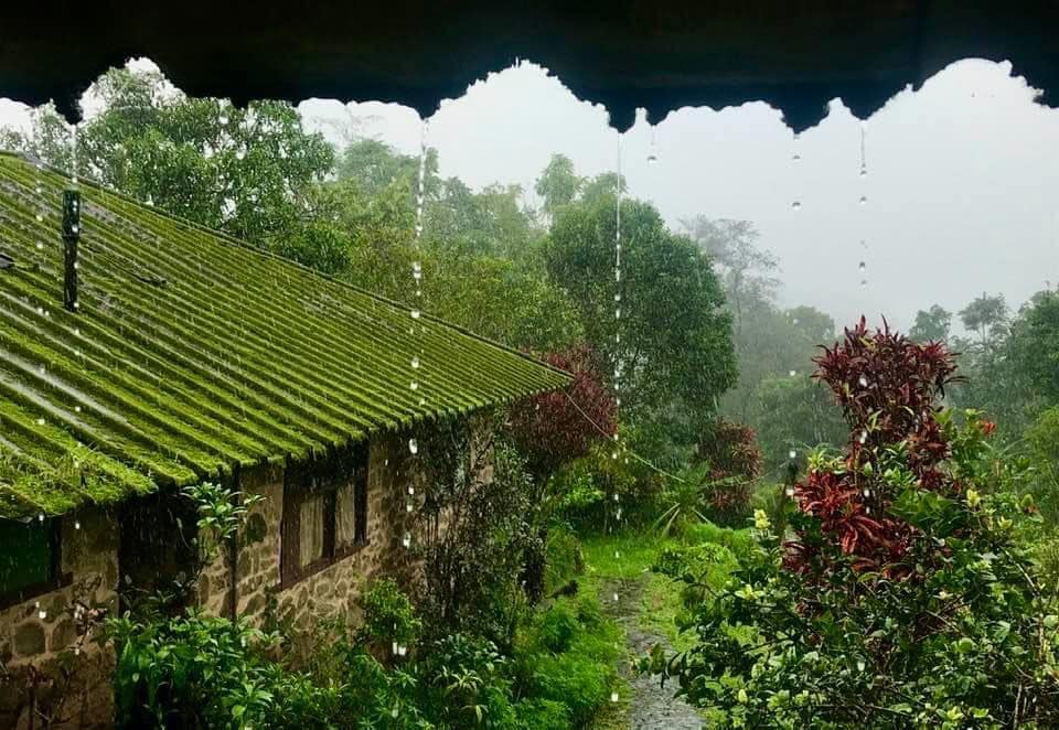 ഫോട്ടോ- ഫാ. ജിജോ കുര്യൻ