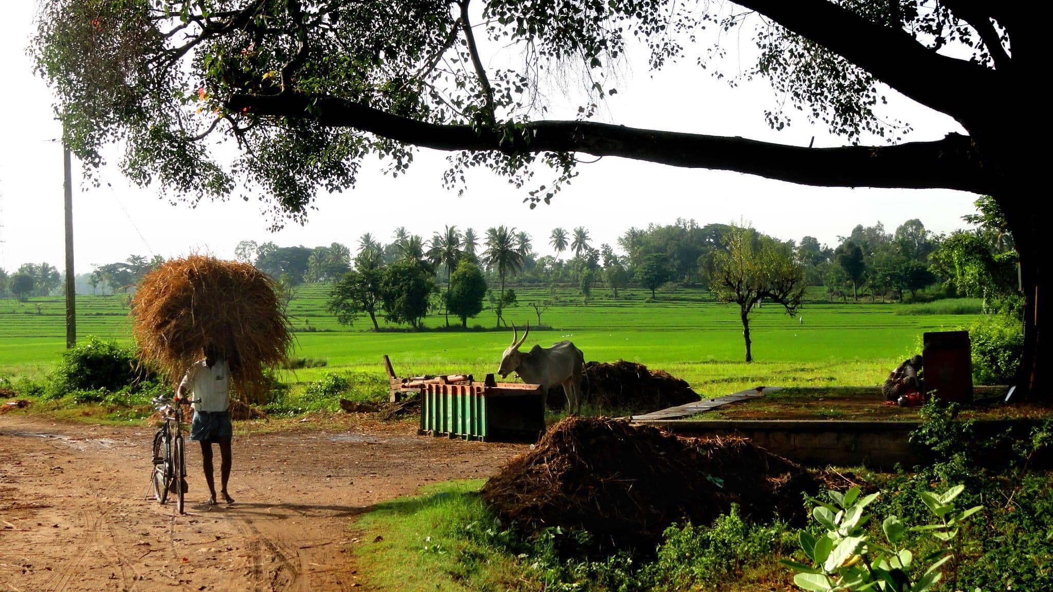 ഫോട്ടോ- ഫാ. ജിജോ കുര്യൻ