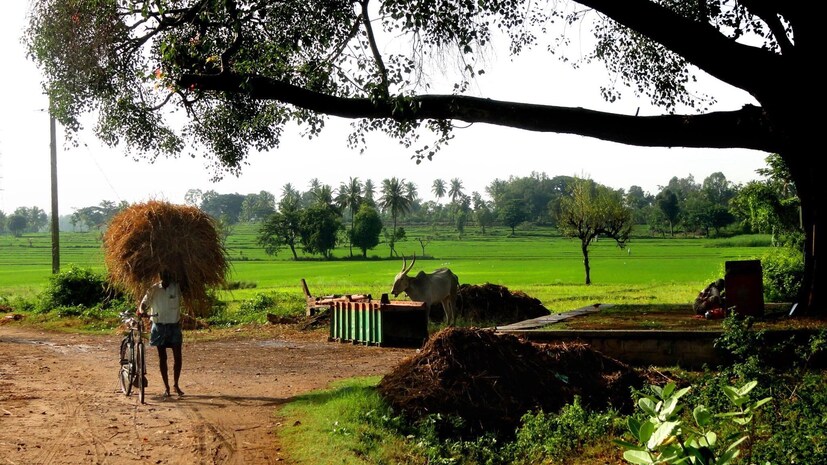  ഫോട്ടോ- ഫാ. ജിജോ കുര്യൻ