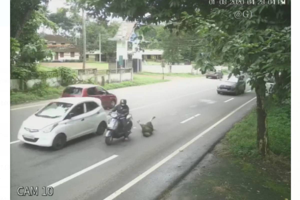 CCTV Visual